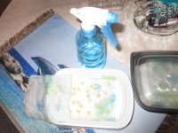 IMG_9137[1].JPG