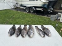 IMG_1299.jpeg