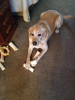 IMG_2554.jpeg
