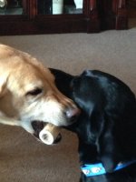 IMG_2023.jpeg