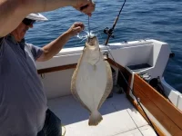 20180805_113749_1533518337878_001.webp