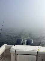 C930AD39-2A4E-4115-BA28-D1F03065AB1B.jpeg