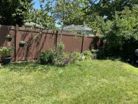 IMG_7165.jpeg