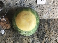 IMG_1407.jpeg