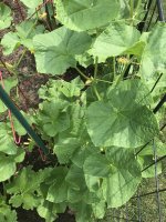 IMG_1414.jpeg