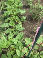 IMG_1413.jpeg