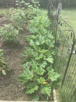 IMG_1410.jpeg
