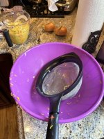 IMG_7320.jpeg