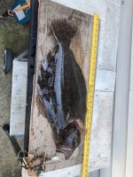 IMG_2136.jpg