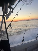 BA87E901-A3F6-46FE-970C-B4489EA9AC22.jpeg