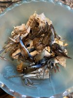 IMG_7361.jpeg