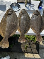 IMG_1135.jpeg