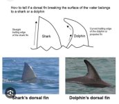 91903510-AC66-44AD-9DDC-9C4C6C907624.jpeg