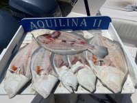 IMG_0323.jpeg