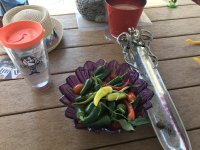 IMG_1456.jpeg