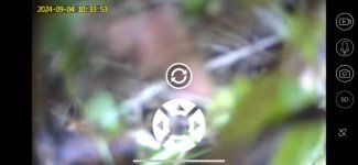 BAFAFD8D-1381-436F-BB86-1F70479BAC5A.jpeg
