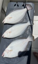IMG_1984.jpeg