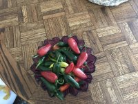 IMG_1457.jpeg