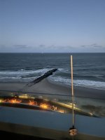 78F871AB-C0F3-4C9A-BB52-E2EA849E51B0.jpeg