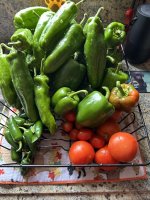 IMG_7600.jpeg