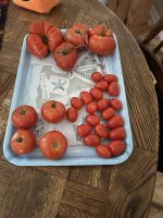 IMG_7599.jpeg