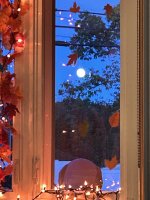 IMG_7668.jpeg