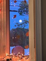 IMG_7666.jpeg