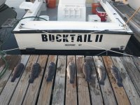 10-18 Blackfish.jpg