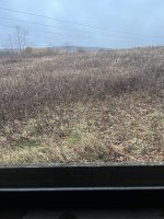 70D3242A-EB12-425C-AAA0-ACBB1AC42840.jpeg