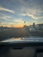 IMG_3708.jpeg
