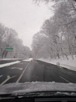 IMG_20241221_074209433.jpg
