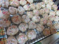 IMG_1030[1].JPG
