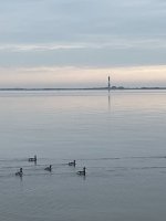 3E0467E9-EF49-4AE9-BC19-283A38AC4B6F.jpeg