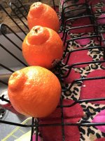 IMG_1642.jpeg
