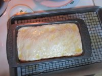 IMG_8677[1].JPG