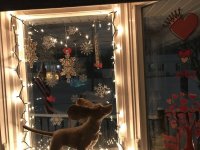 IMG_1655.jpeg