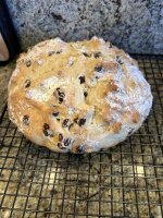 IMG_8340.jpeg