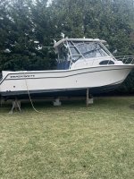 IMG_3802.jpeg