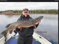 Northern Pike Reelpro Charters.PNG