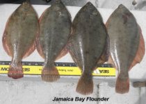 04.18.2012 - Flounder catch.JPG