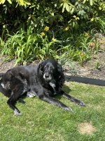 IMG_0703.jpeg