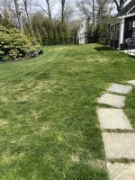 IMG_0704.jpeg
