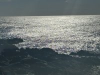 IMG_0797.jpeg