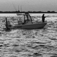 243 Everglades