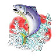 Juxon CentralPark Fishing