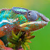 Troutmiester