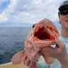 UNCFISH