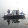 Dcbassin