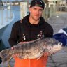 Blackfish matter