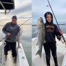 WhaleheadFishing